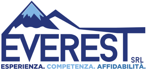 Everest Professional